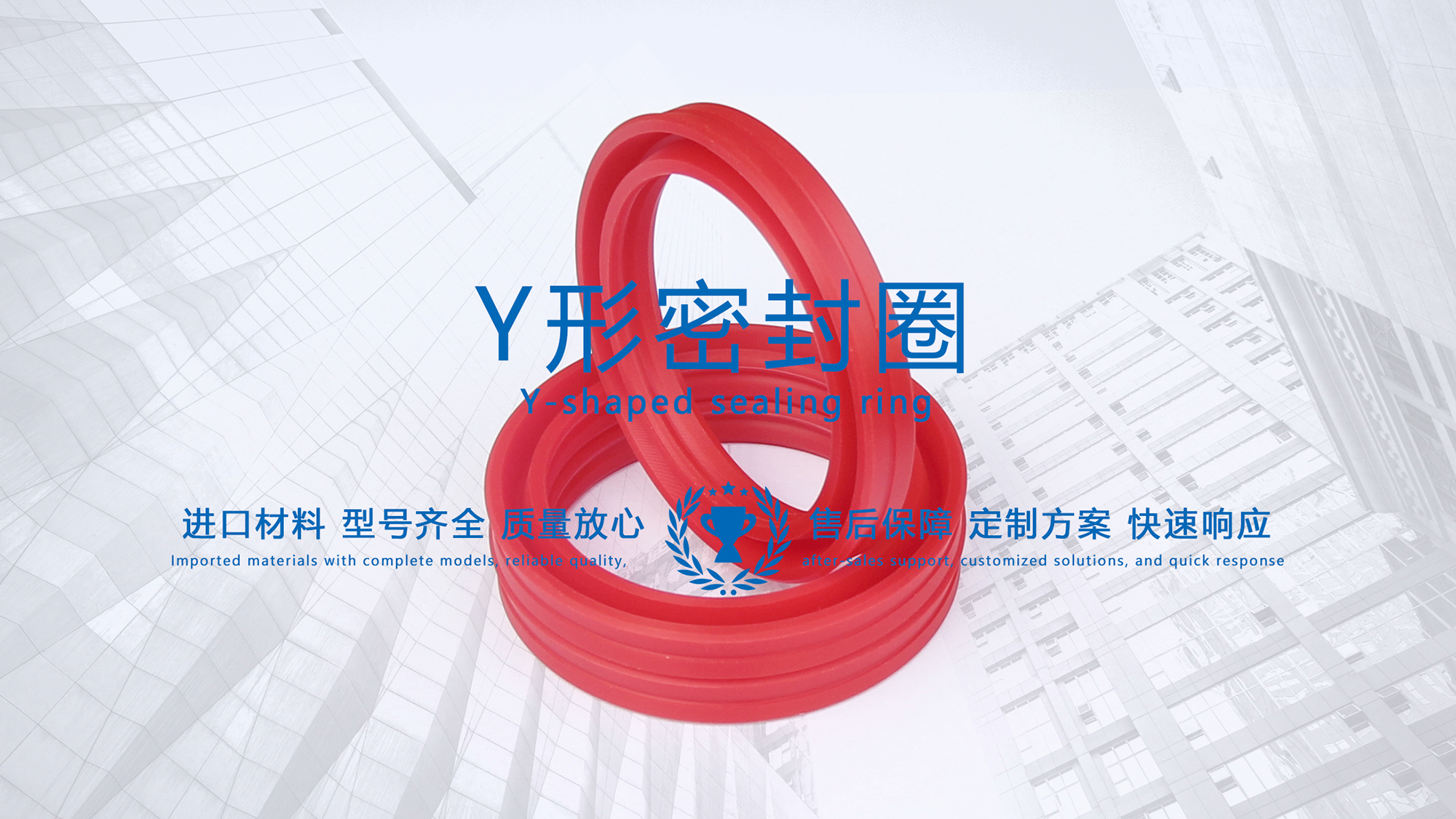 y型密封圈（又Y形密封圈，Y形圈，Y型圖或唇形密封圈，密封件油封膜片） (3)
