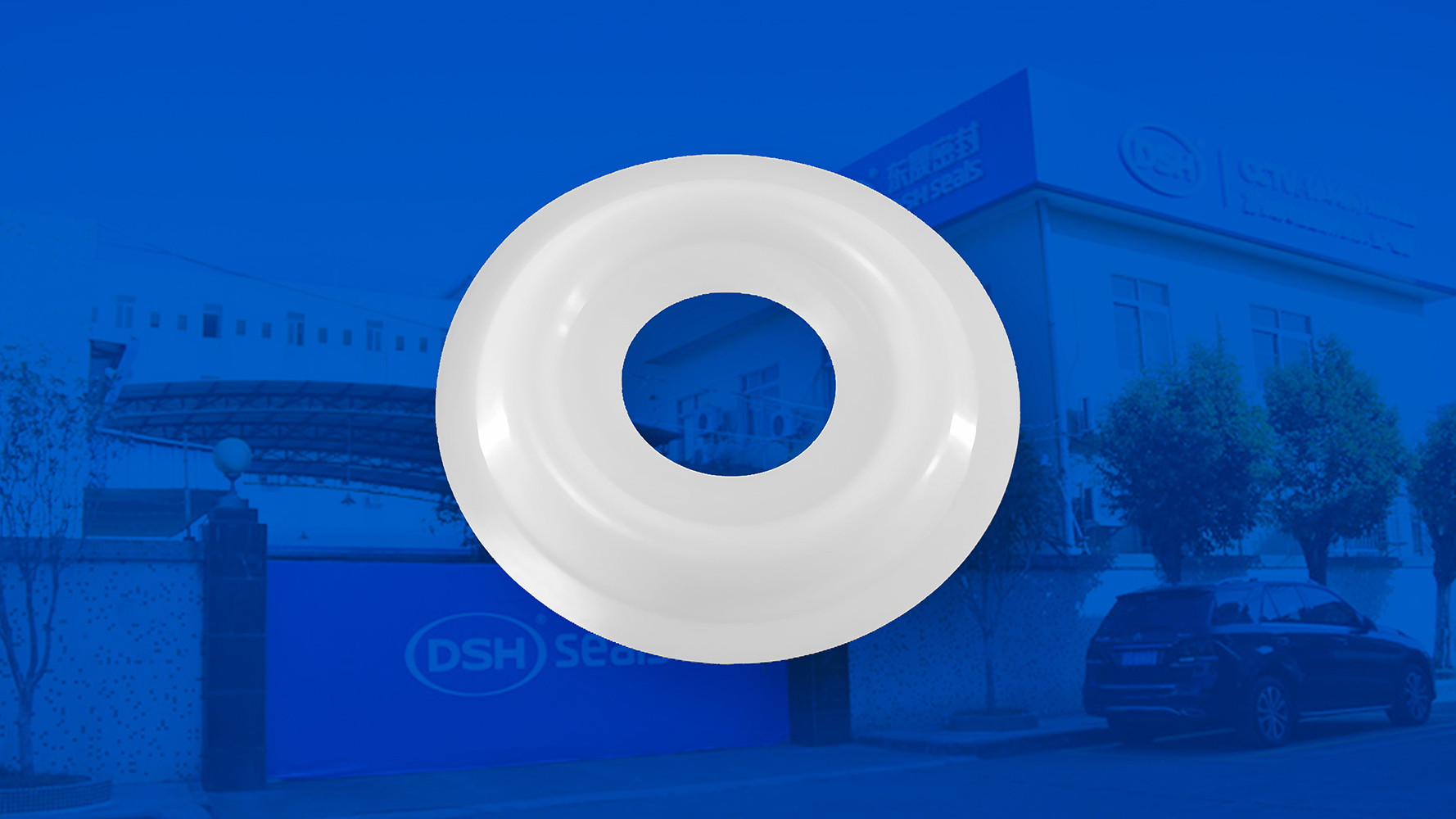 米頓羅計(jì)量泵膜片 （又叫隔膜、密封件、密封圈、油封） (2)